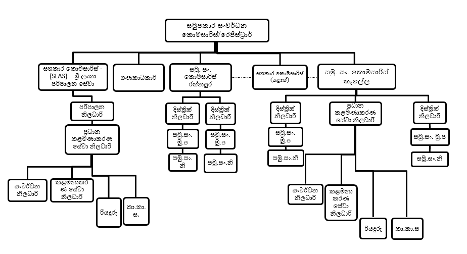 සමූපකාර සංවර්ධන දෙපාර්තමේන්තුව - පාලන ව්‍යුහය